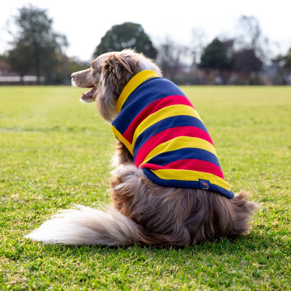 Adelaide Crows Dog Jumper - Large