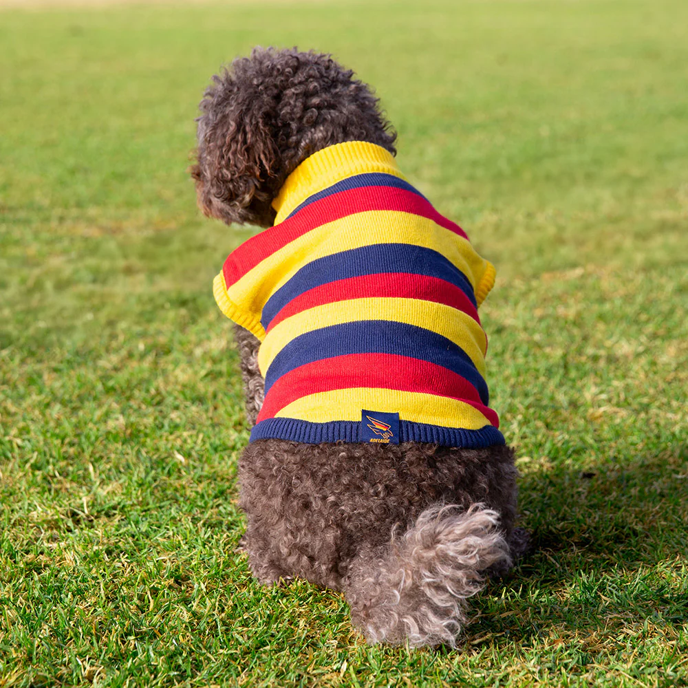 Adelaide Crows Dog Jumper - Medium
