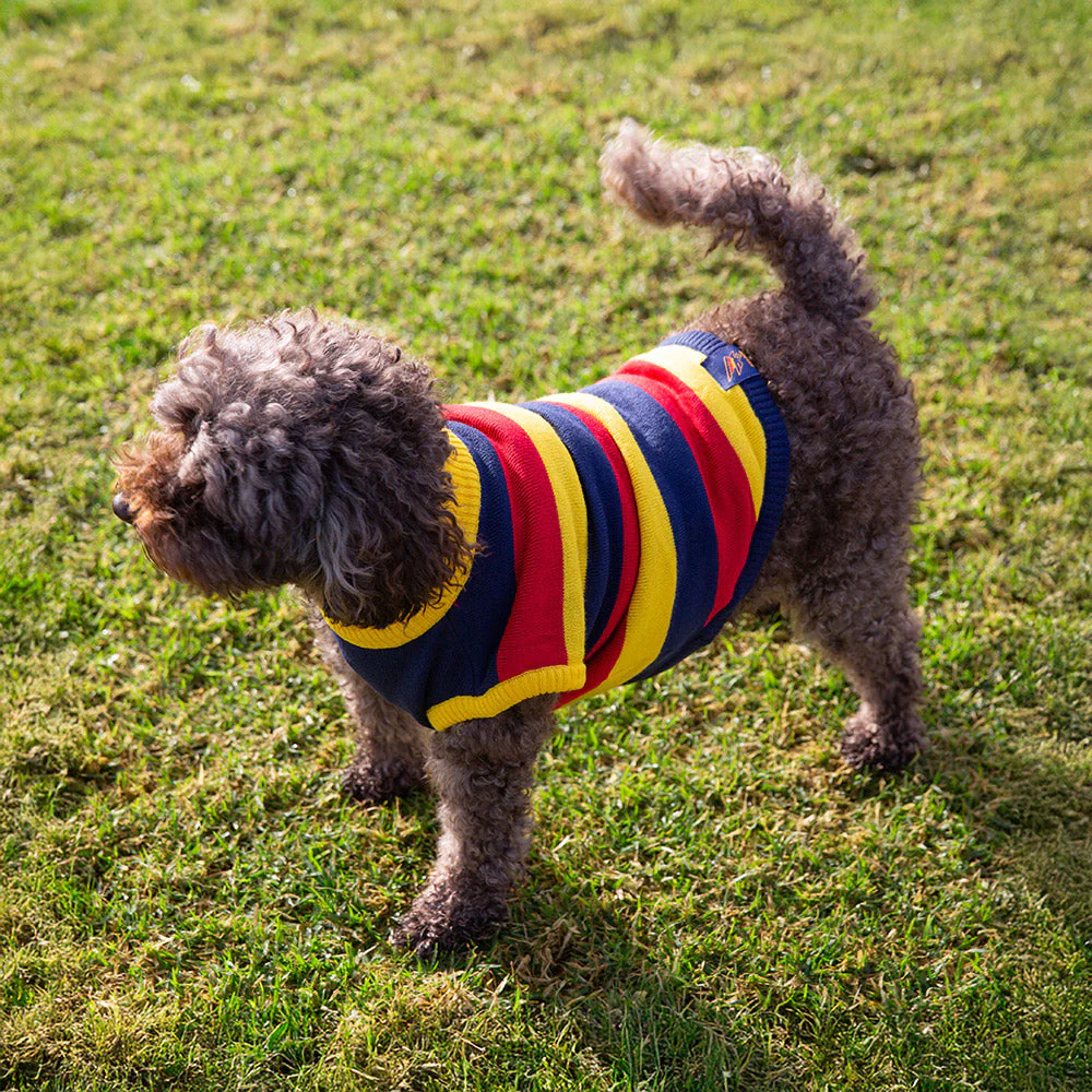 Adelaide Crows Dog Jumper - Medium - Image 2