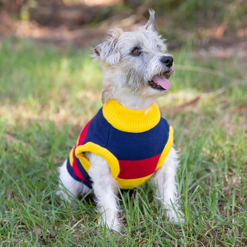 Adelaide Crows Dog Jumper - Small - Image 2