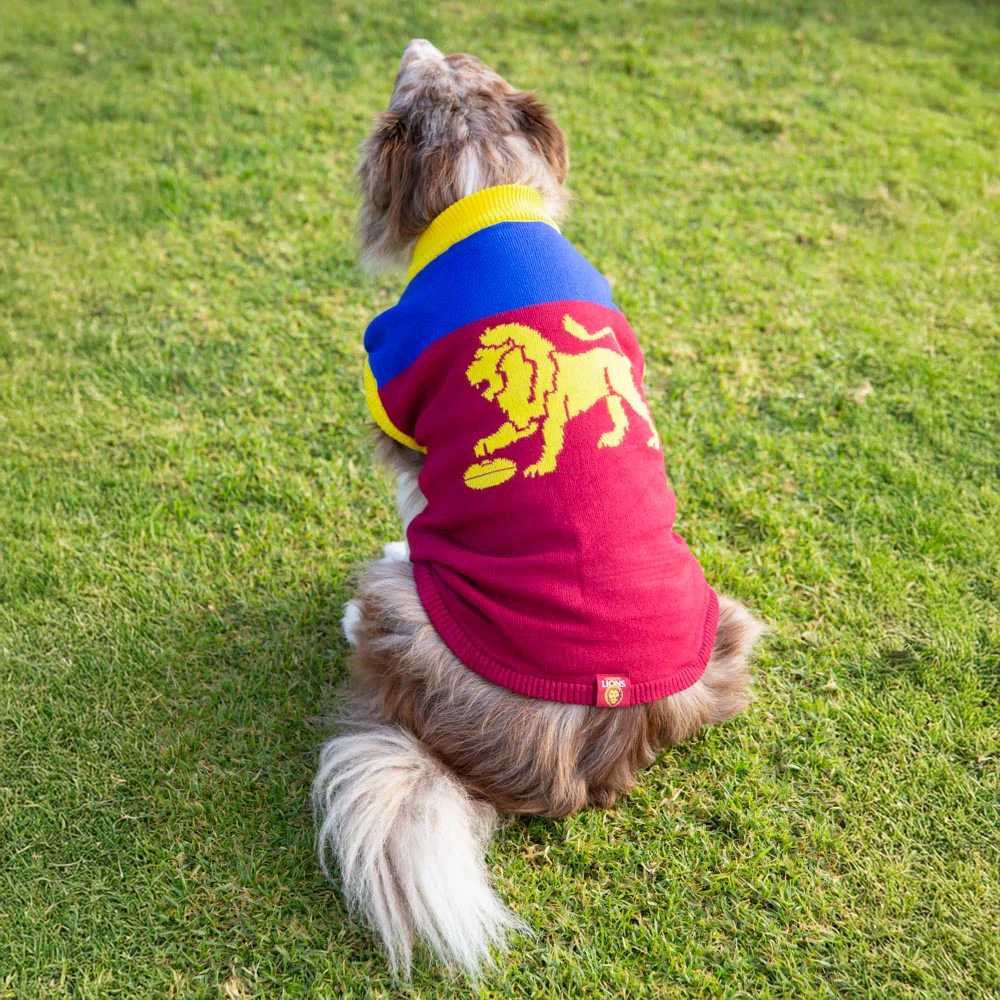 Brisbane Lions Dog Jumper - Large