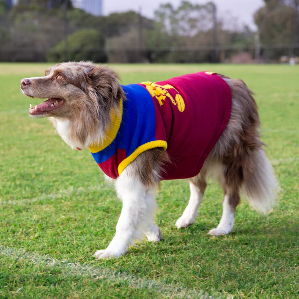 Brisbane Lions Dog Jumper - Large - Image 2