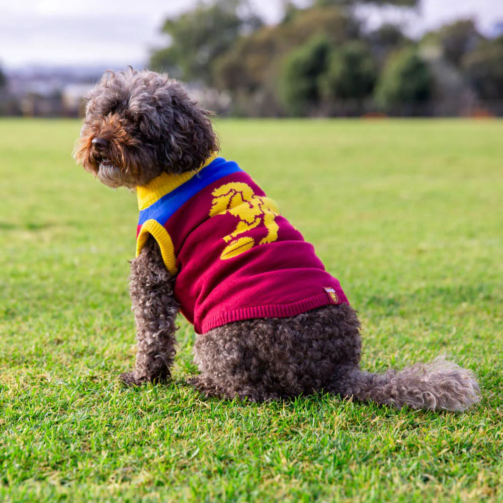 Brisbane Lions Dog Jumper - Medium