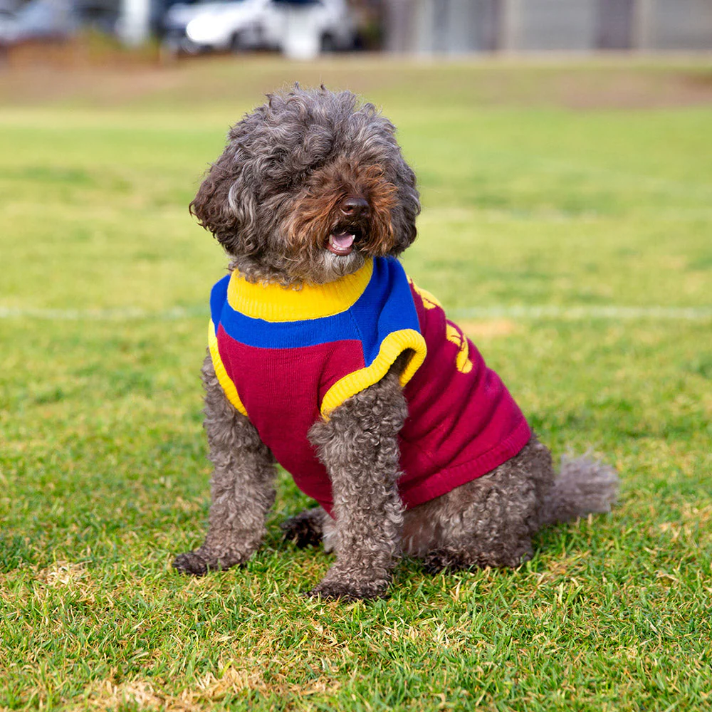Brisbane Lions Dog Jumper - Medium - Image 2