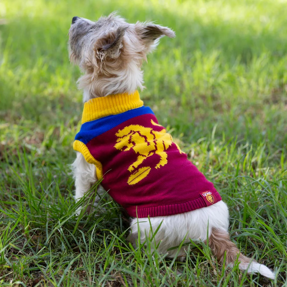 Brisbane Lions Dog Jumper - Small