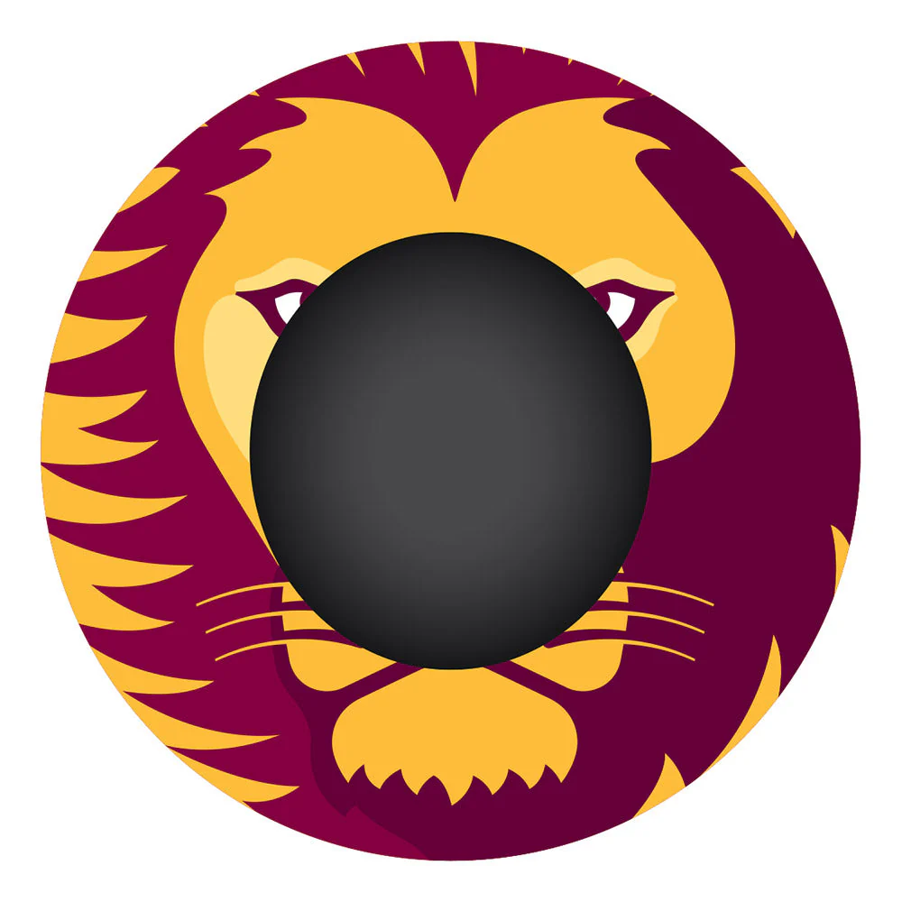 Brisbane Lions Straw Hat - Image 4