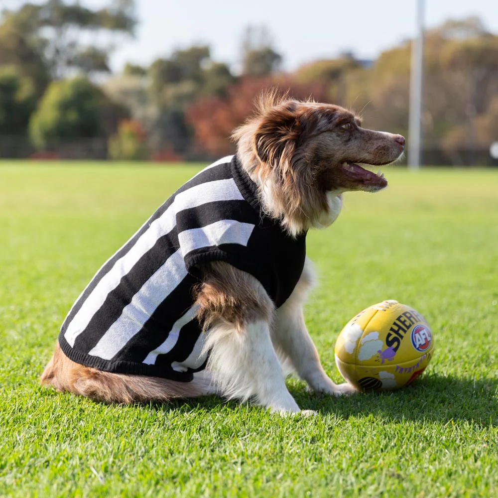 Collingwood Dog Jumper - Large
