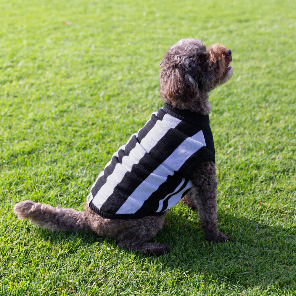 Collingwood Dog Jumper - Medium