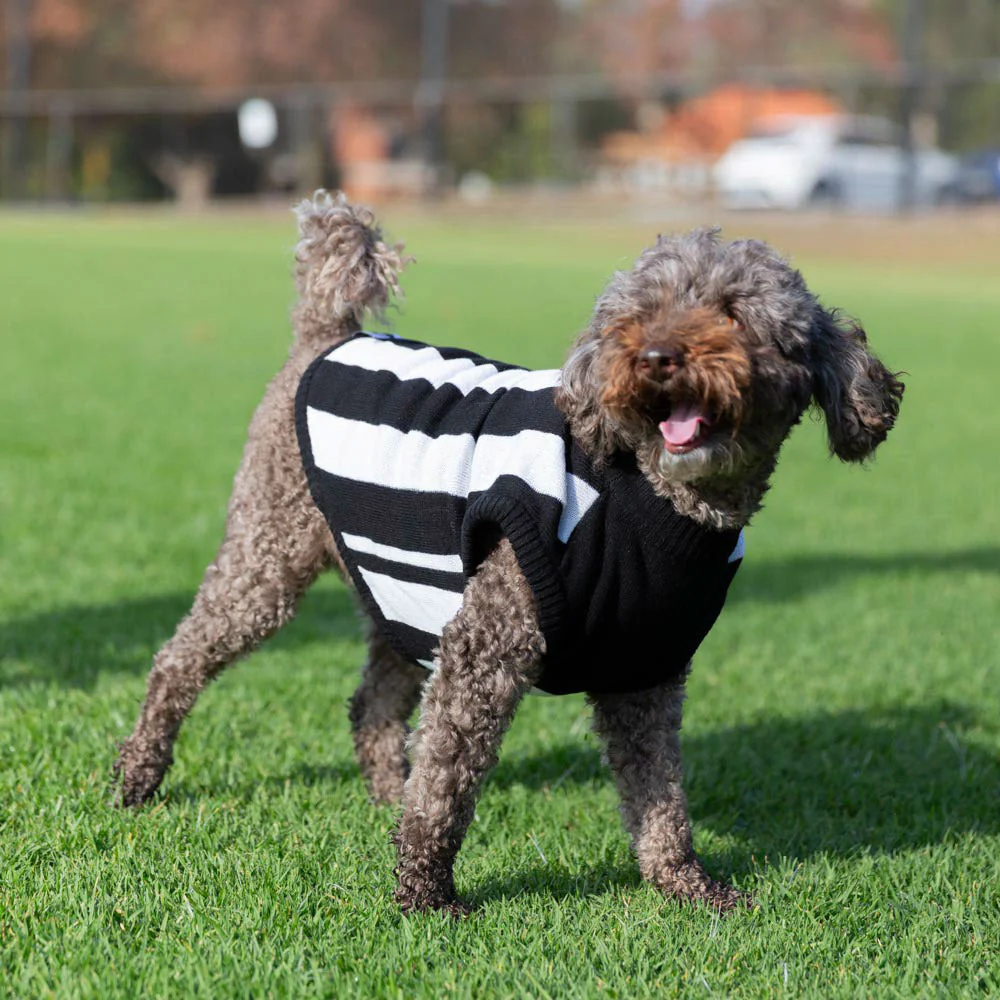 Collingwood Dog Jumper - Medium - Image 2