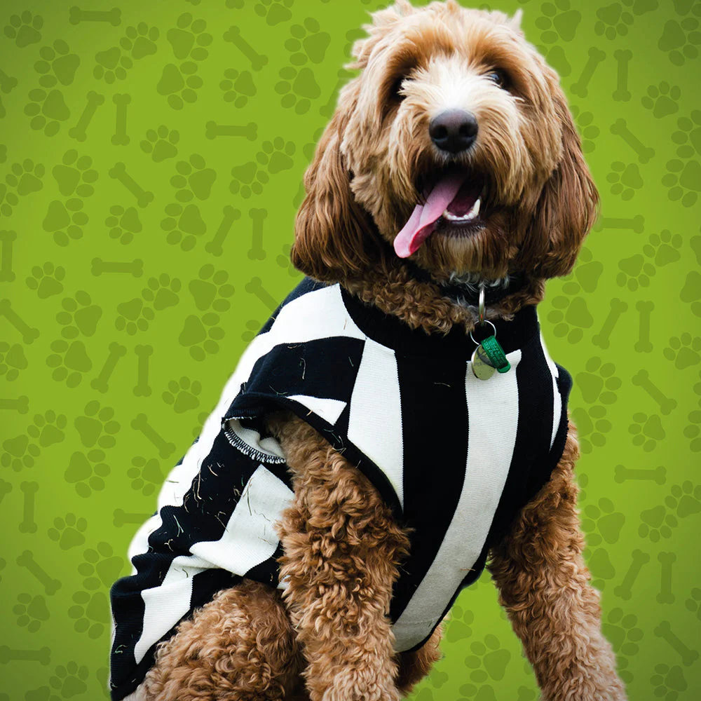 Collingwood Large Dog Jumper - Image 2