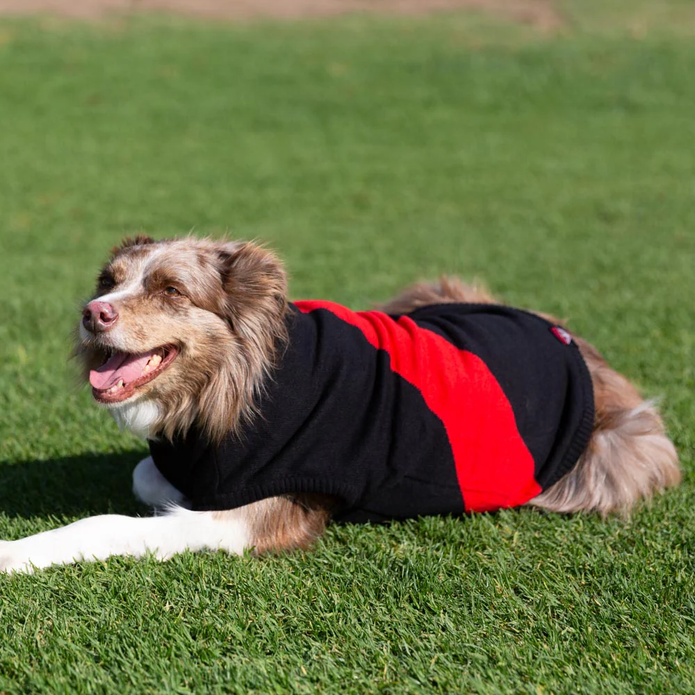 Essendon Dog Jumper - Large