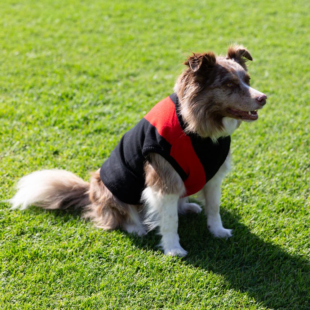 Essendon Dog Jumper - Large - Image 2