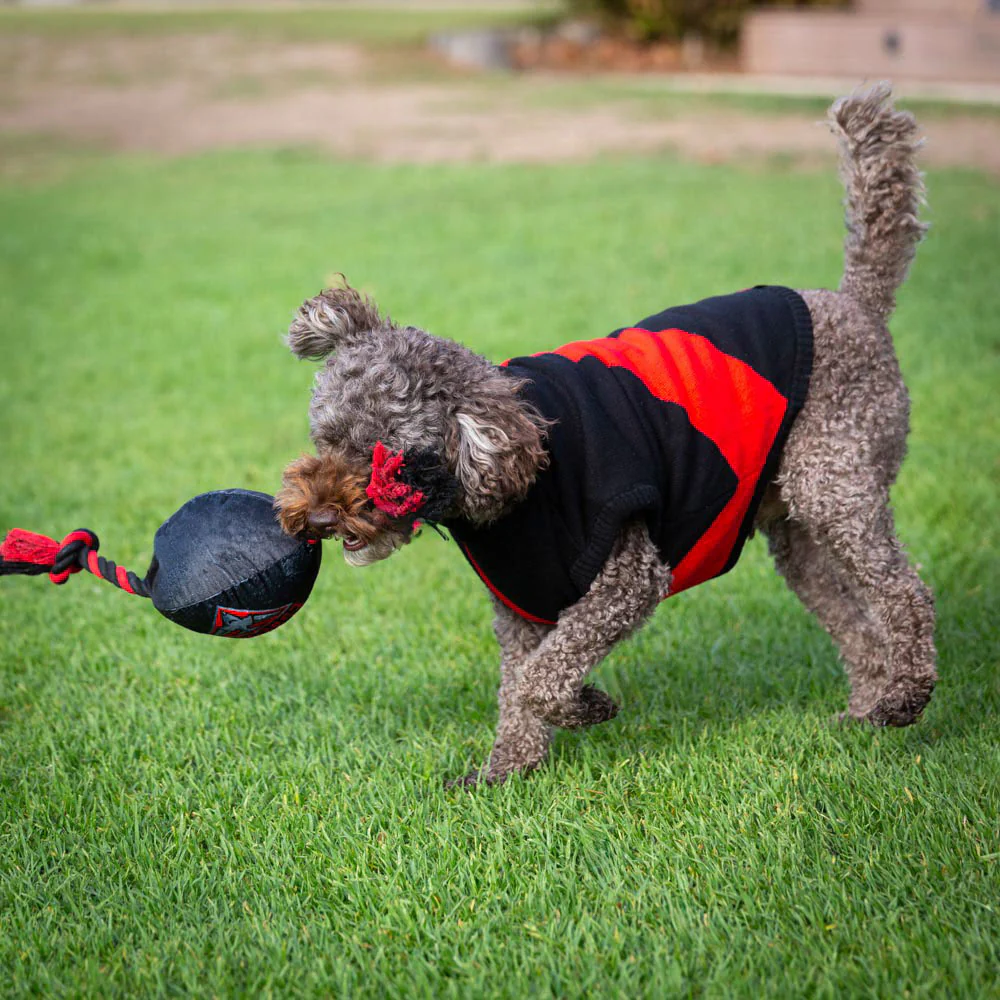 Essendon Dog Jumper - Medium