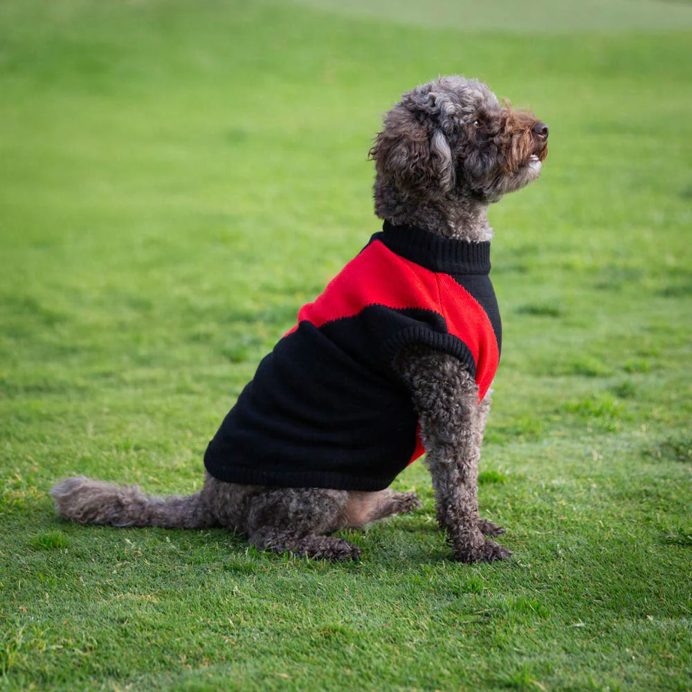 Essendon Dog Jumper - Medium - Image 2
