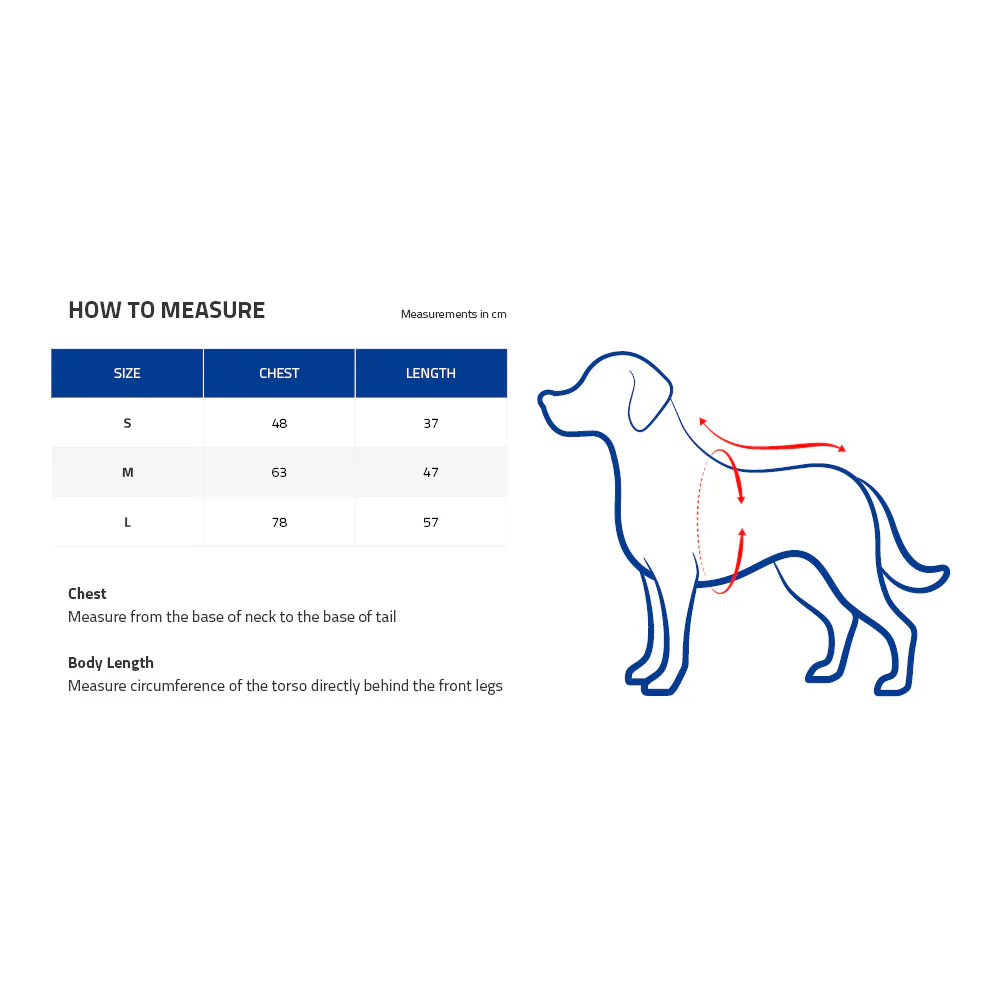 Essendon Dog Jumper - Medium - Image 5
