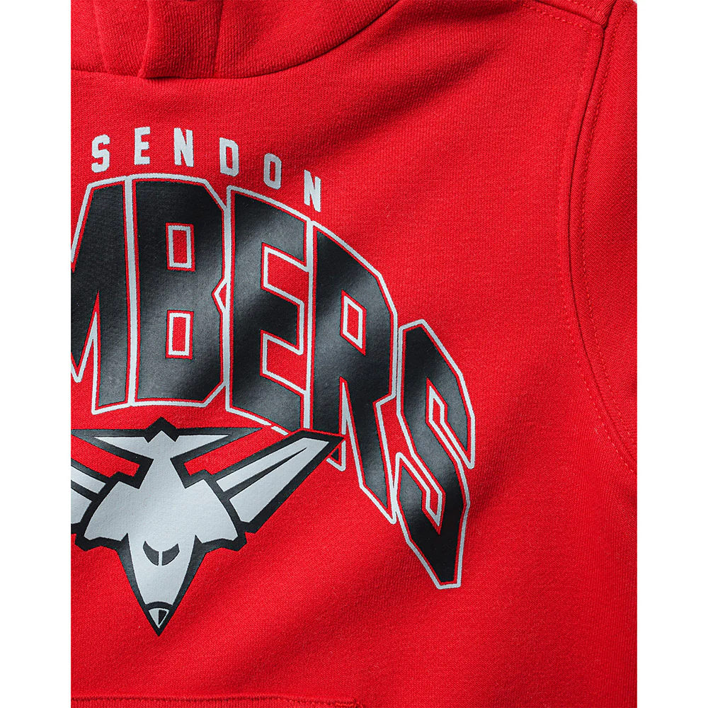 Essendon Bombers Youth Crest Hoodie - Image 3