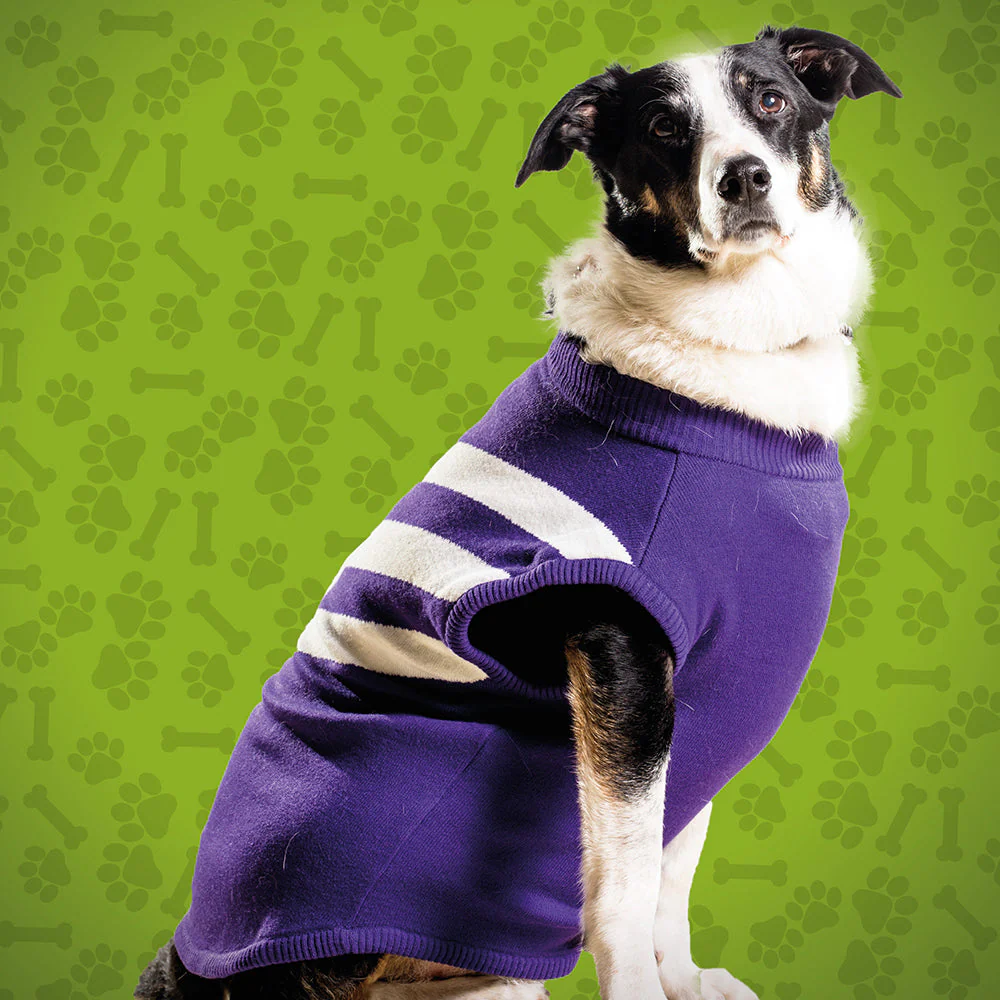 Fremantle Dockers Large Dog Jumper - Image 2