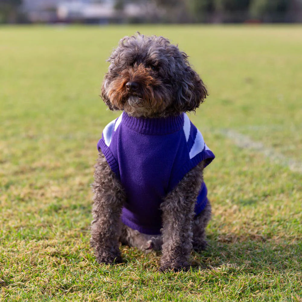 Fremantle Dockers Dog Jumper - Medium - Image 2