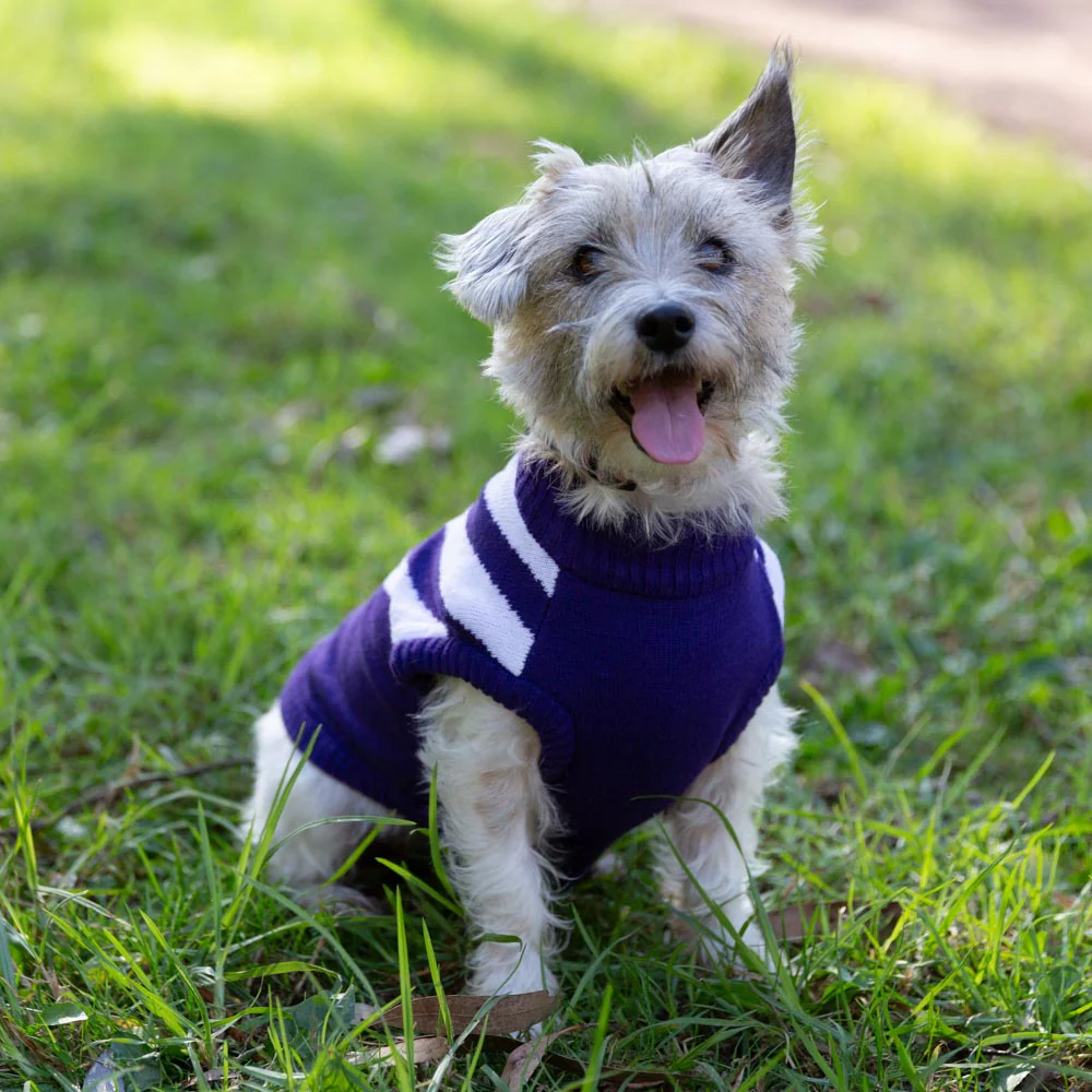 Fremantle Dockers Dog Jumper - Small - Image 2