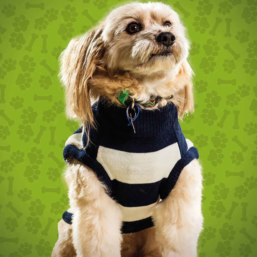 Geelong Cats Large Dog Jumper - Image 2