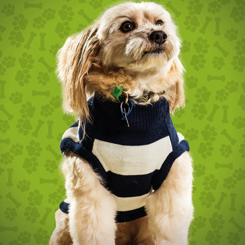 Geelong Cats Small Dog Jumper