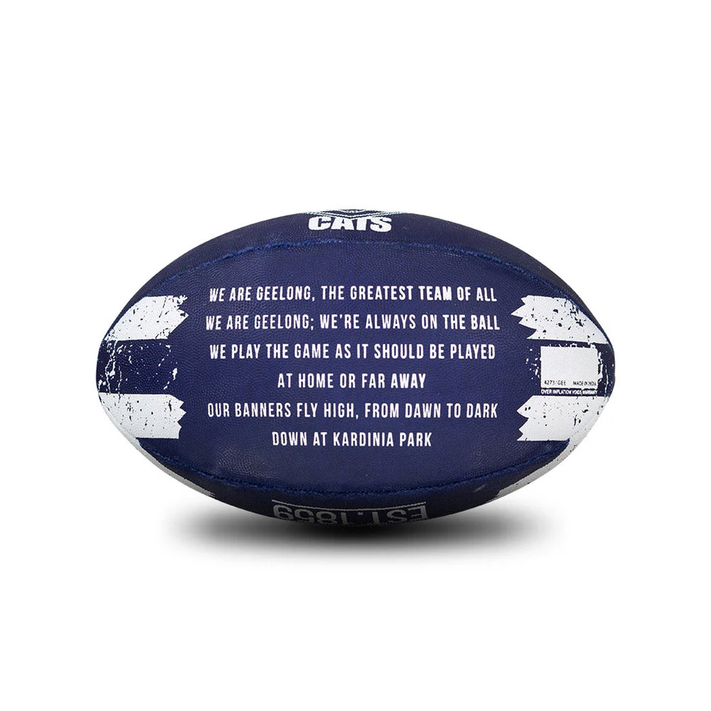 Geelong Cats Song Football - Size 2 - Image 6