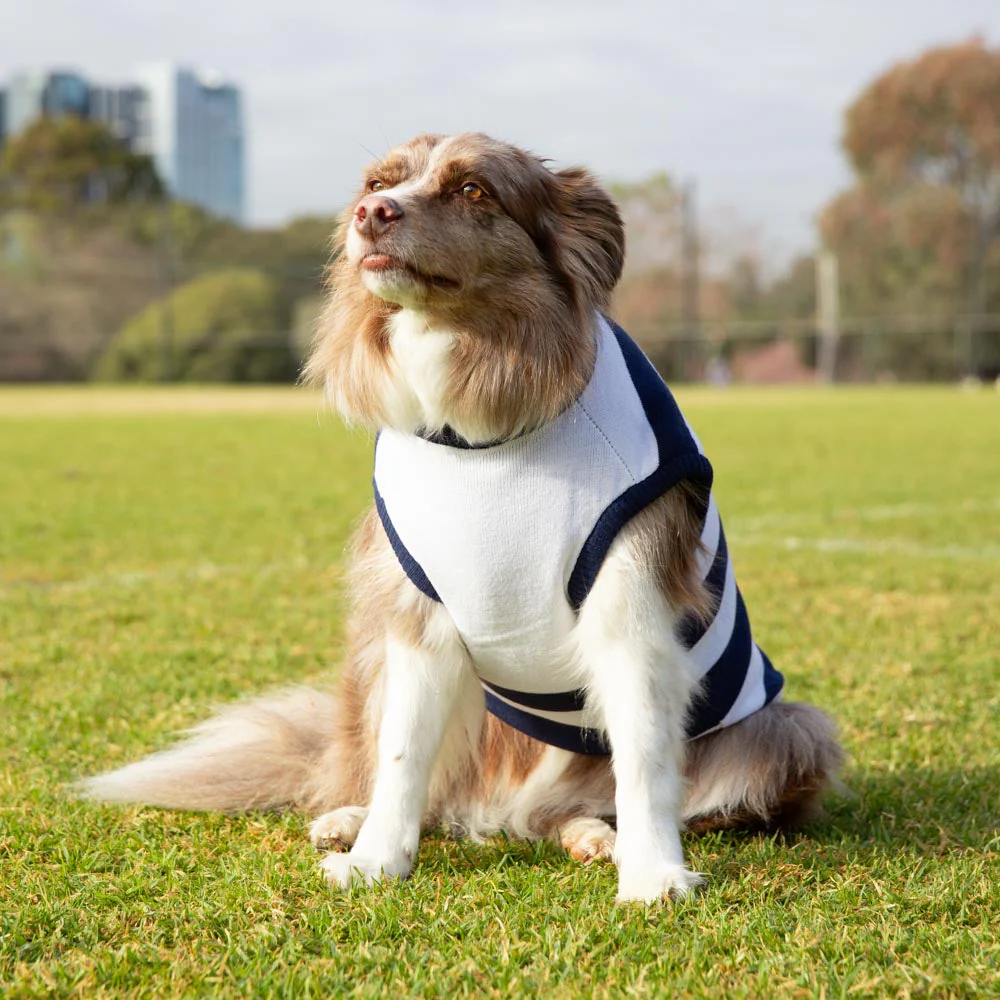 Geelong Cats Dog Jumper - Large - Image 2
