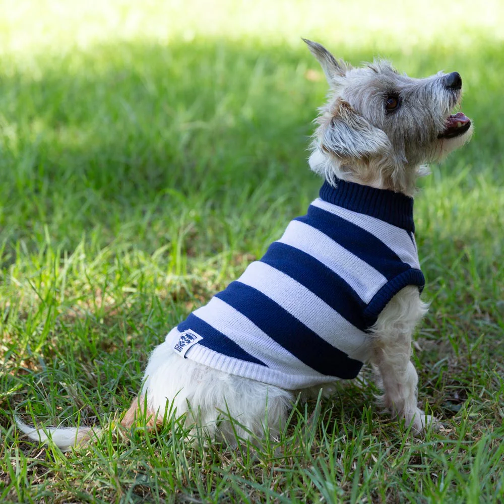 Geelong Cats Dog Jumper - Small