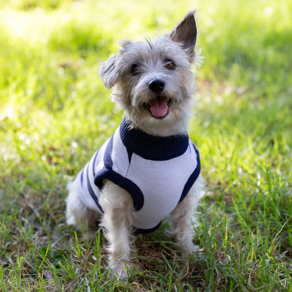 Geelong Cats Dog Jumper - Small - Image 2