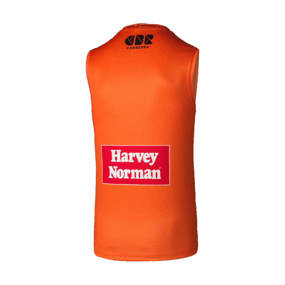 GWS Giants 2024 Authentic Youth Home Guernsey - Image 2