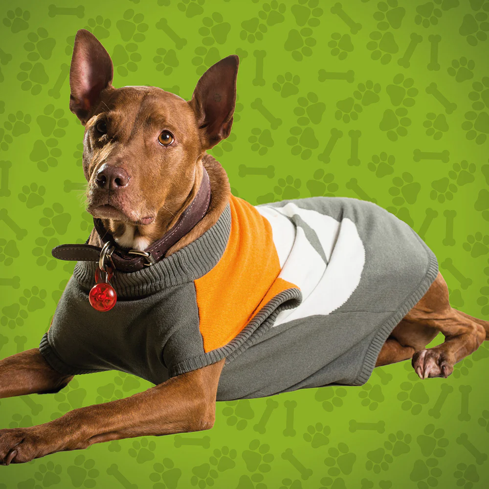 GWS Giants Large Dog Jumper