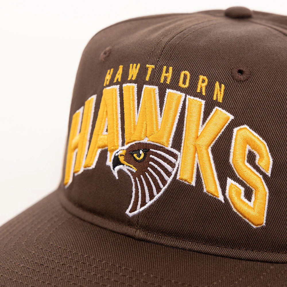 Hawthorn Arch Wordmark Cap - Image 5