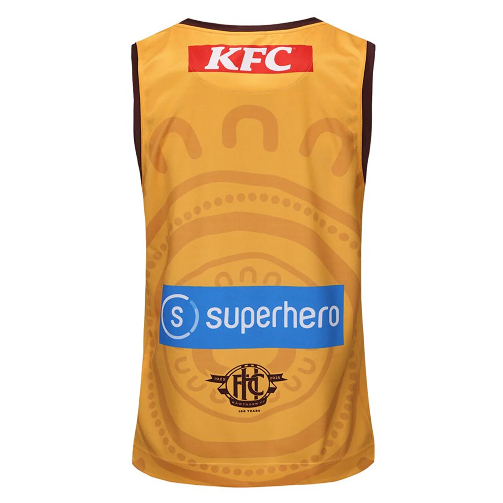 Hawthorn 2025 Authentic Adult Gold Indigenous Guernsey - Image 4
