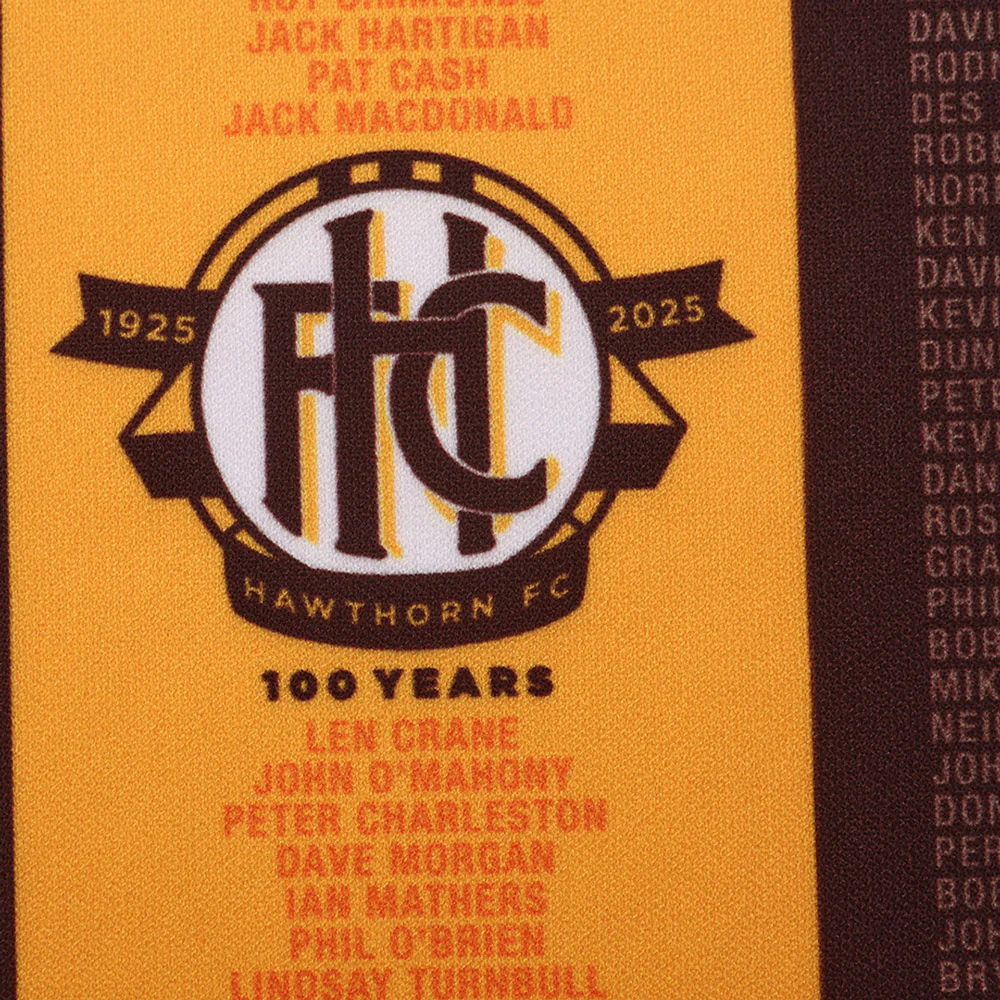 Hawthorn Authentic 100 Year Centenary Guernsey - Image 3