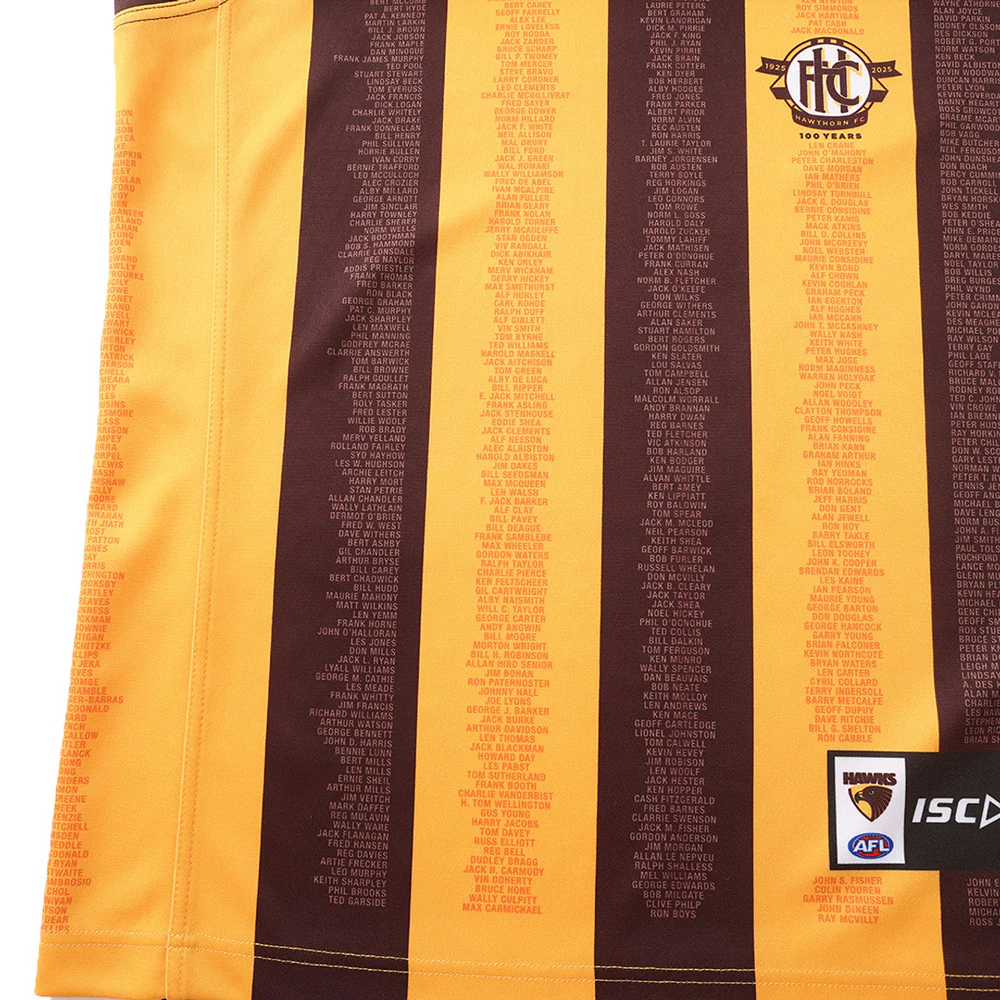 Hawthorn Authentic 100 Year Centenary Guernsey - Image 5
