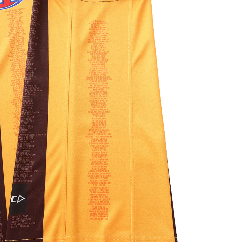 Hawthorn Authentic 100 Year Centenary Guernsey - Image 6