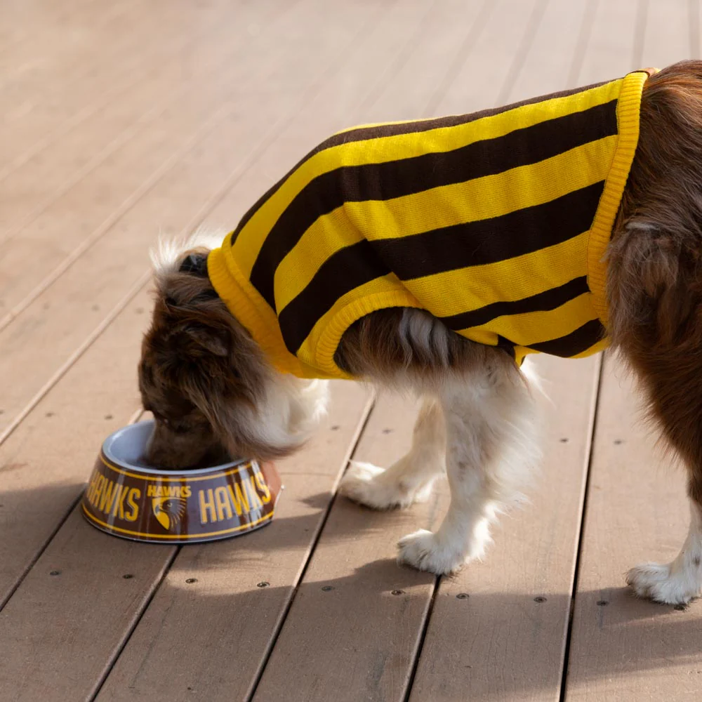 Hawthorn Dog Jumper - Large