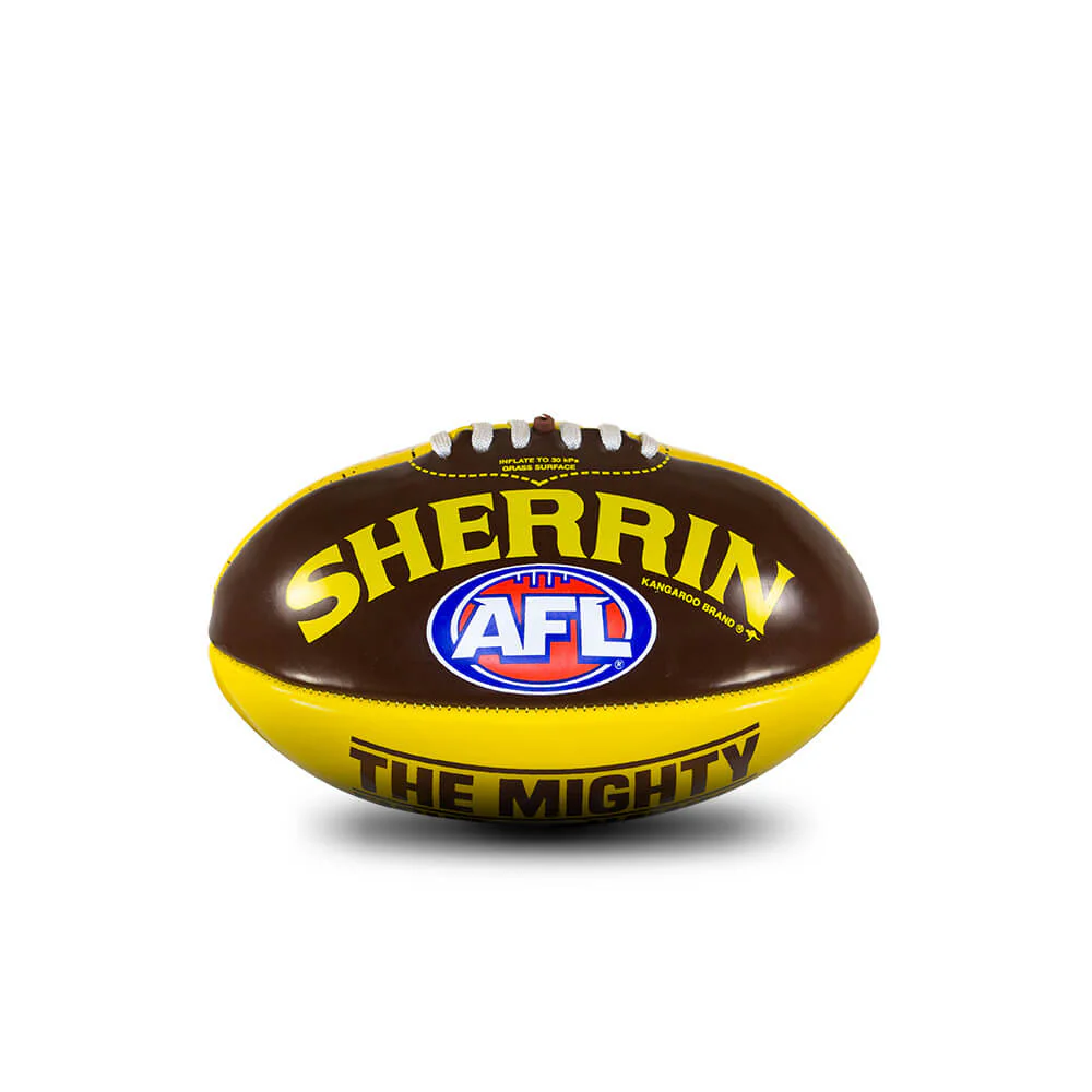 Hawthorn Grass Surface Mini Football - Image 6