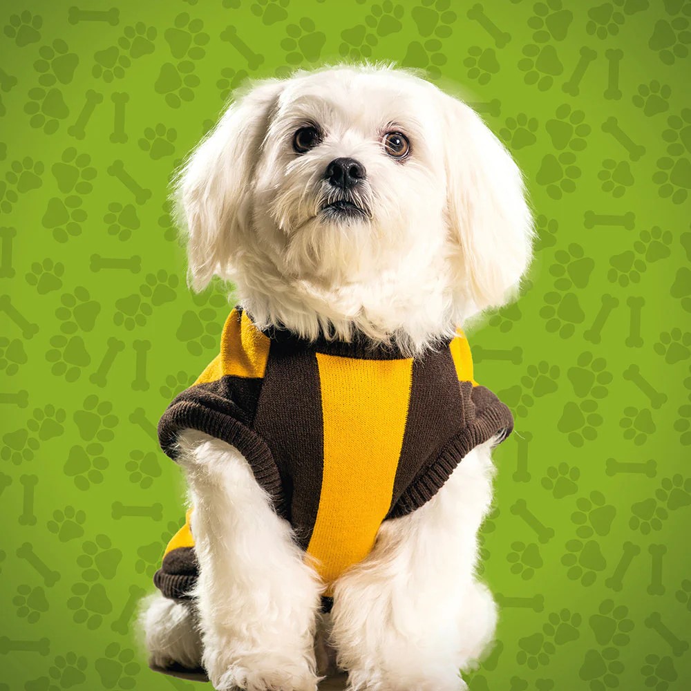 Hawthorn Medium Dog Jumper - Image 2