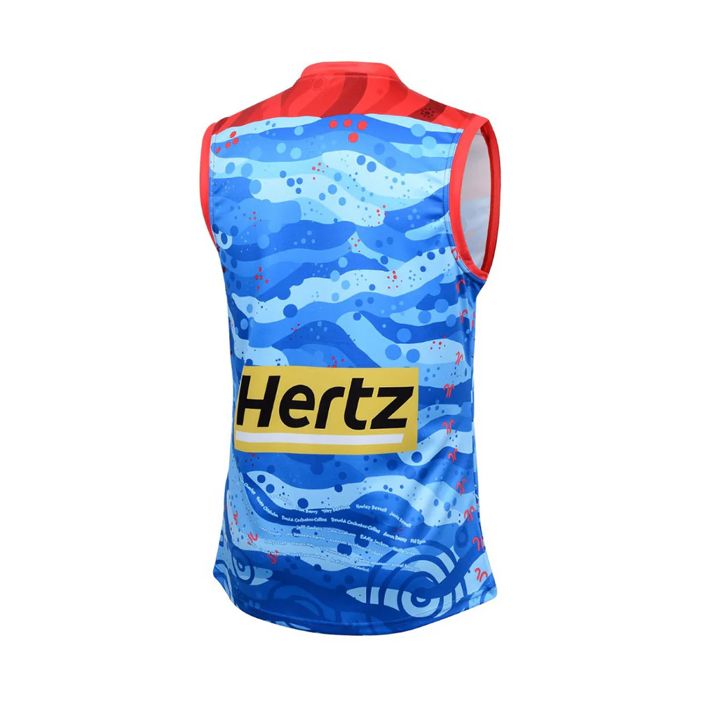 Melbourne Demons 2024 Authentic Youth Indigenous Away Guernsey - Image 2