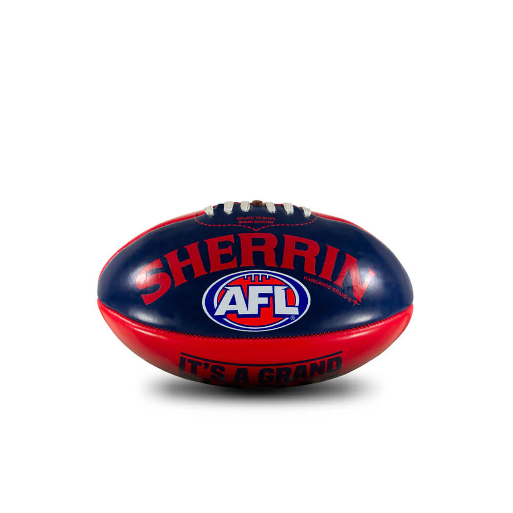 Melbourne Demons Grass Surface Mini Football - Image 3