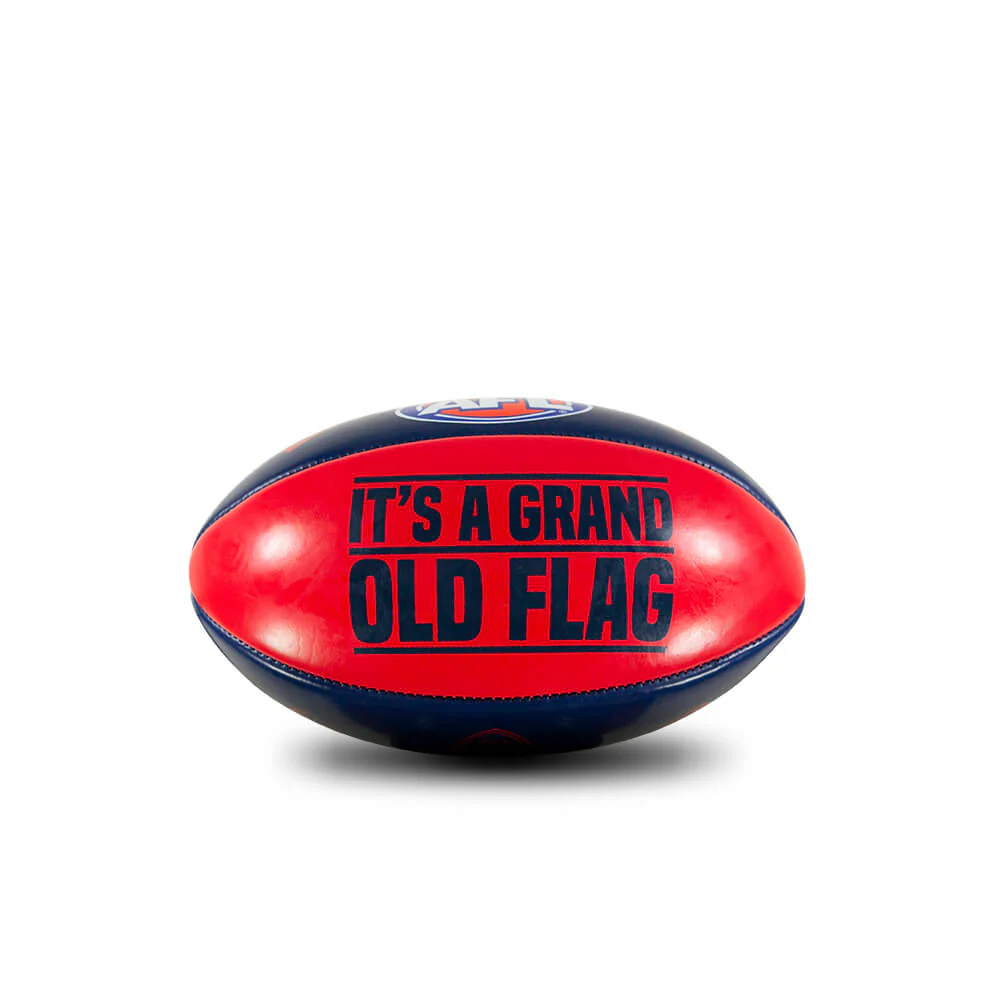Melbourne Demons Grass Surface Mini Football - Image 4