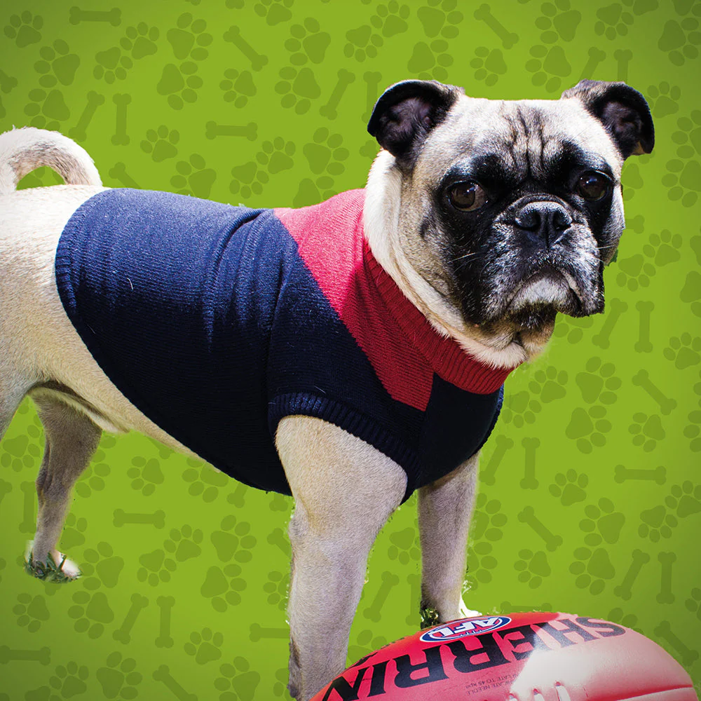 Melbourne Demons Medium Dog Jumper - Image 2