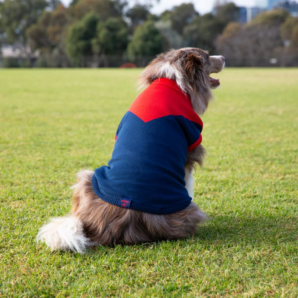 Melbourne Demons Dog Jumper - Large