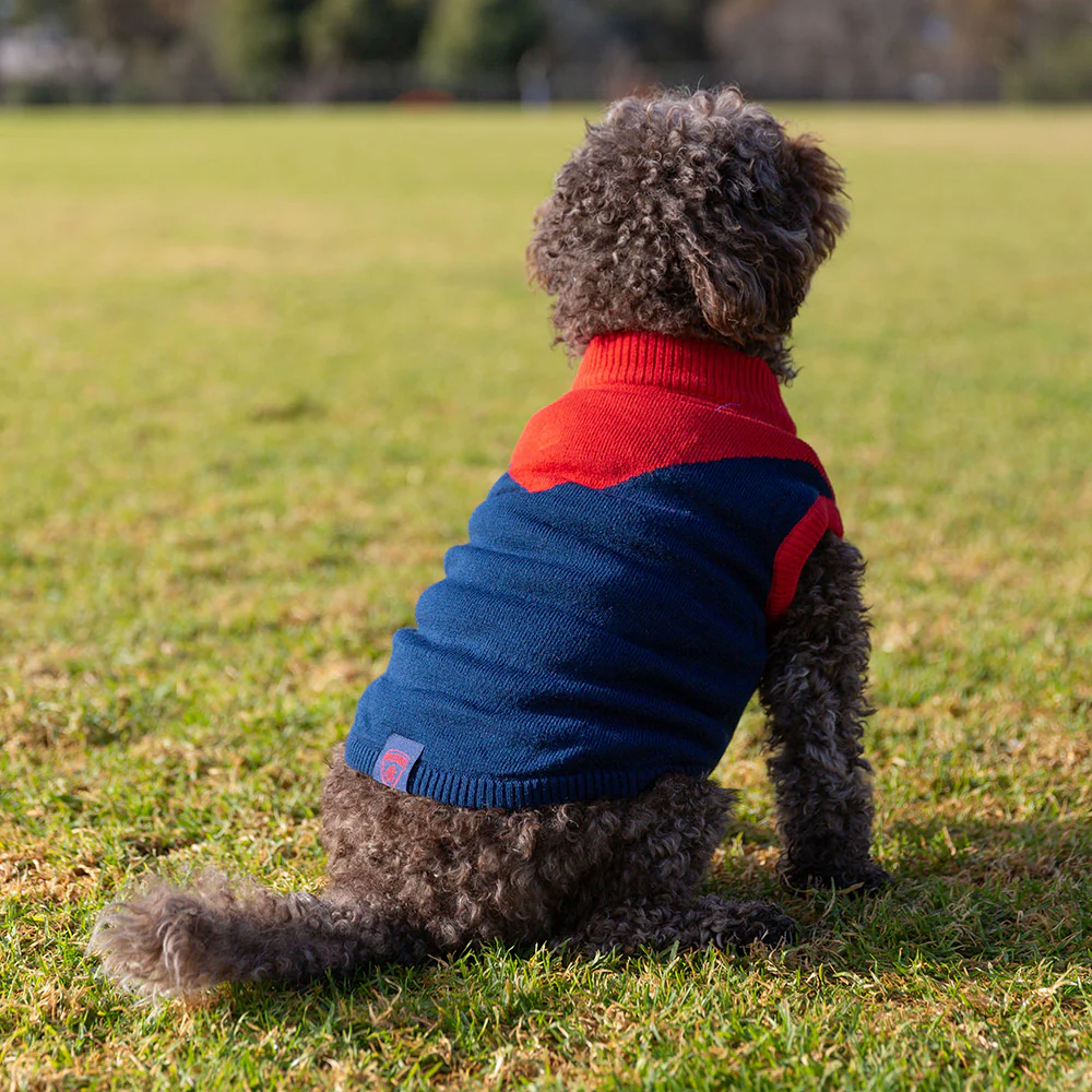 Melbourne Demons Dog Jumper - Medium
