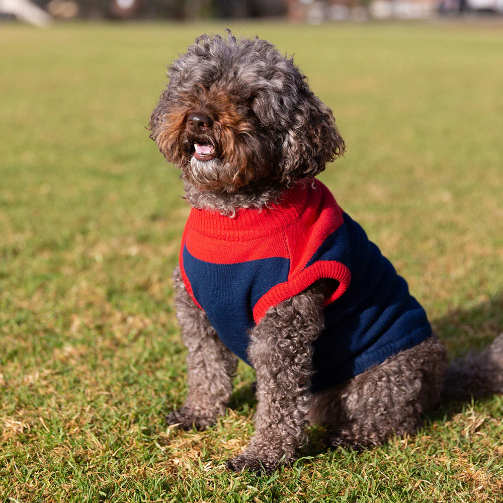 Melbourne Demons Dog Jumper - Medium - Image 2