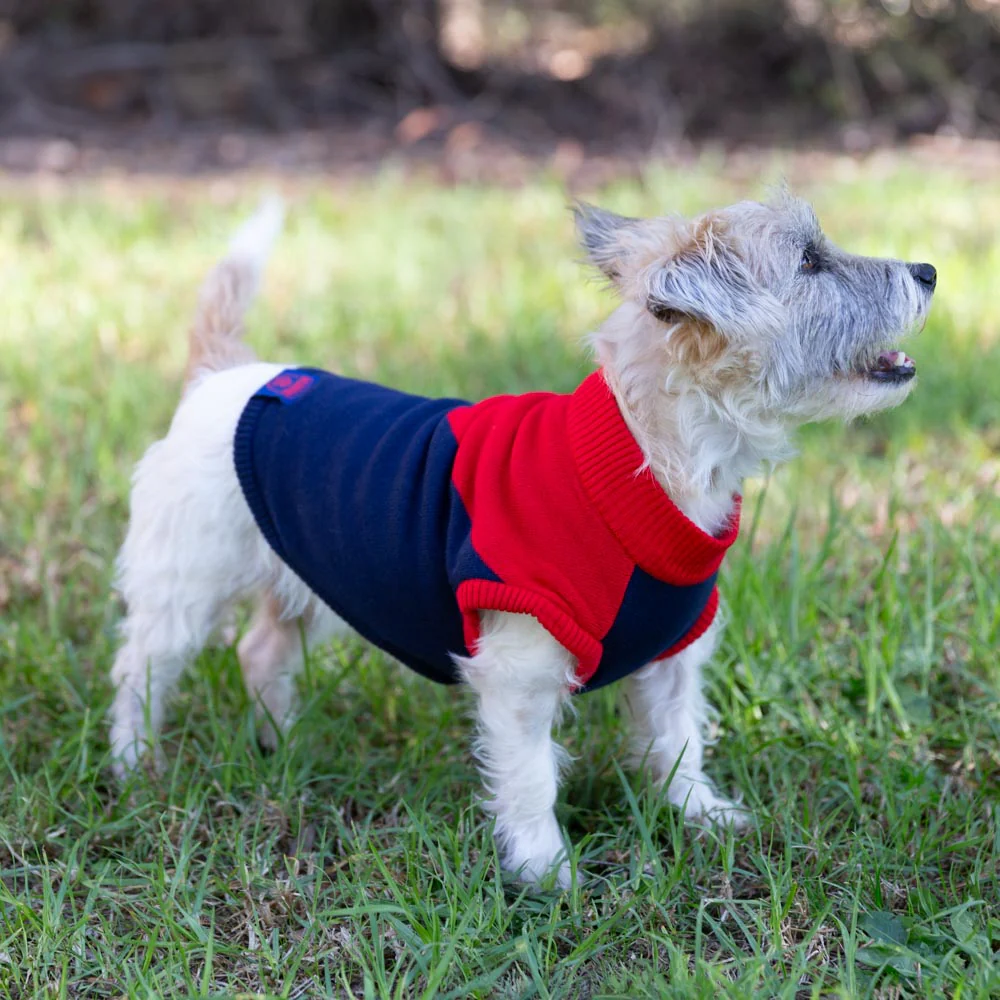 Melbourne Demons Dog Jumper - Small - Image 2