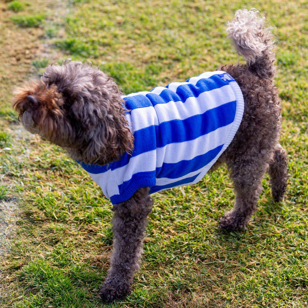 North Melbourne Dog Jumper - Medium