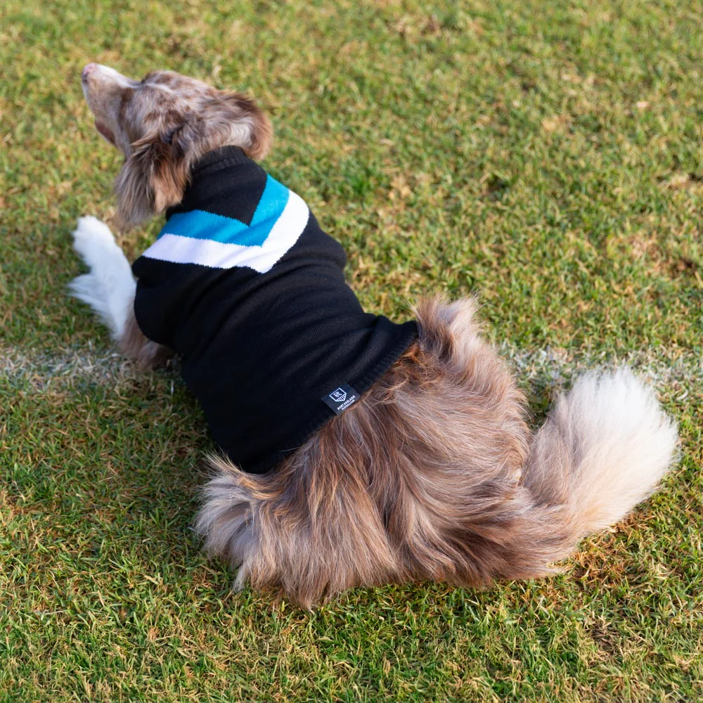 Port Adelaide Dog Jumper - Large