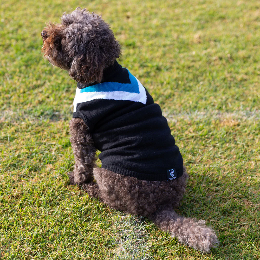 Port Adelaide Dog Jumper - Medium